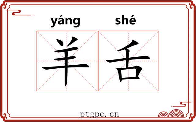 羊舌