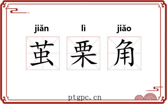 茧栗角 茧栗角