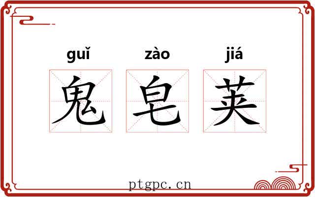鬼皂荚 鬼皂荚