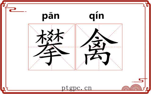 攀禽