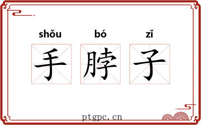 手脖子 手脖子