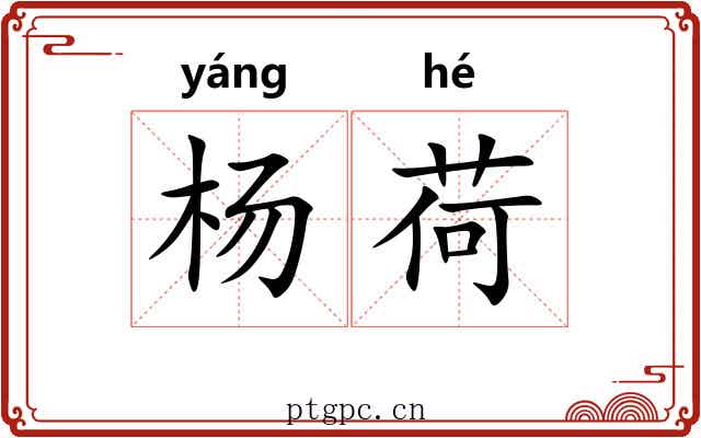 杨荷