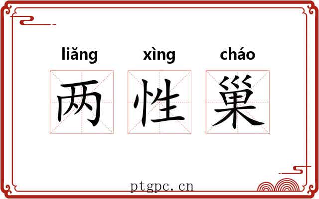 两性巢