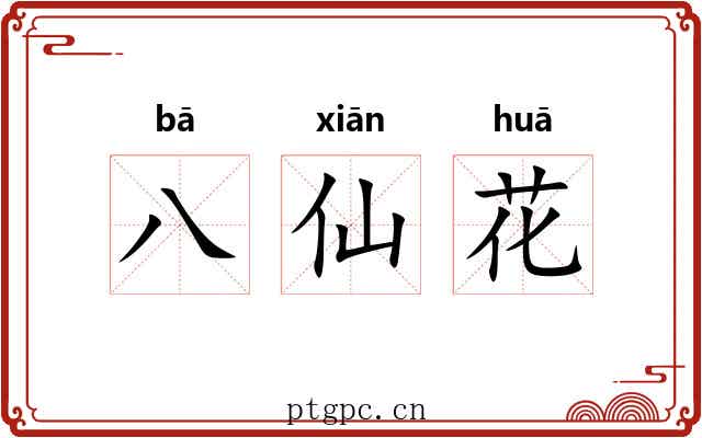 八仙花 八仙花