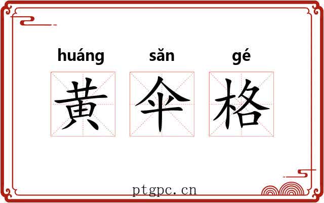 黄伞格 黄伞格