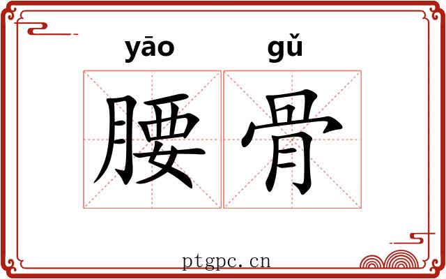 腰骨 腰骨