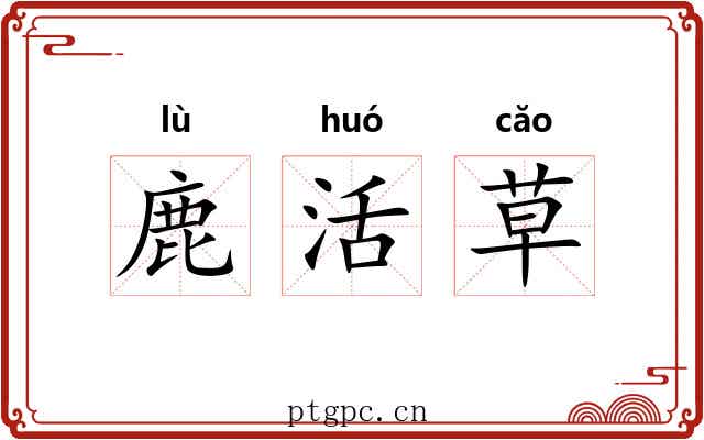 鹿活草 鹿活草