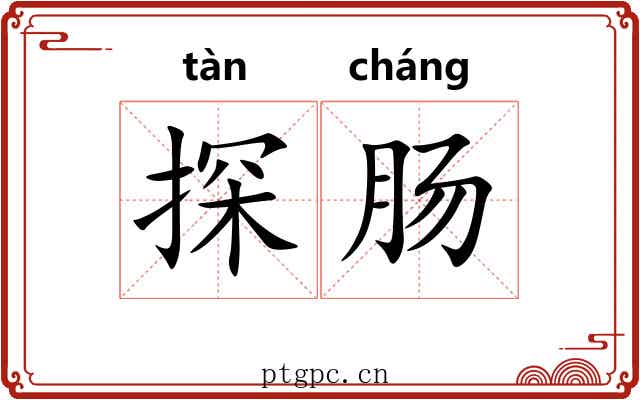 探肠