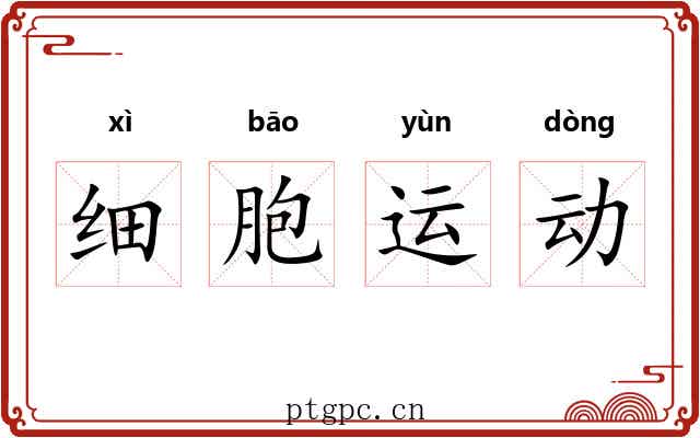 细胞运动 细胞运动