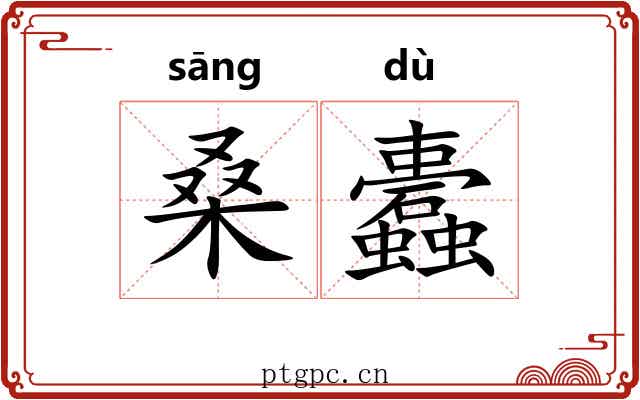 桑蠹