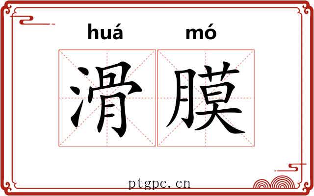 滑膜