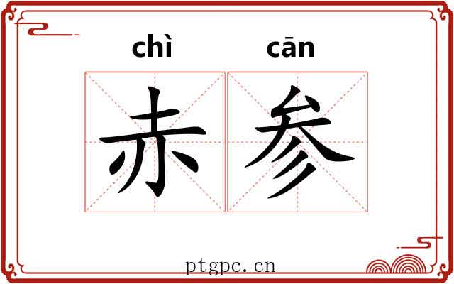 赤参 赤参