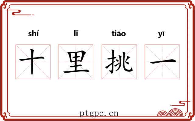 十里挑一