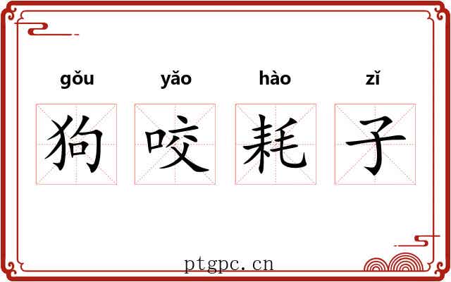狗咬耗子