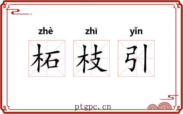 柘枝引 柘枝引