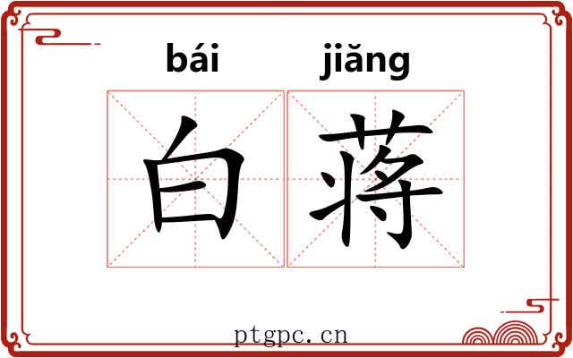 白蒋