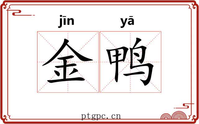 金鸭 金鸭