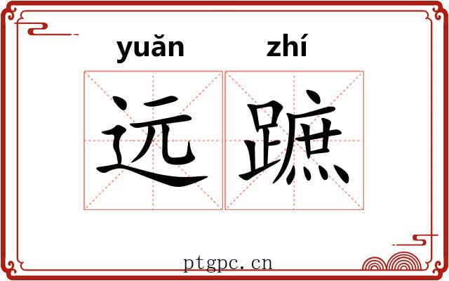远蹠