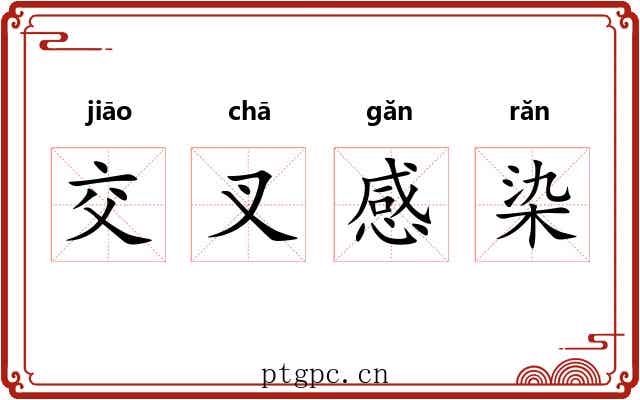 交叉感染 交叉感染