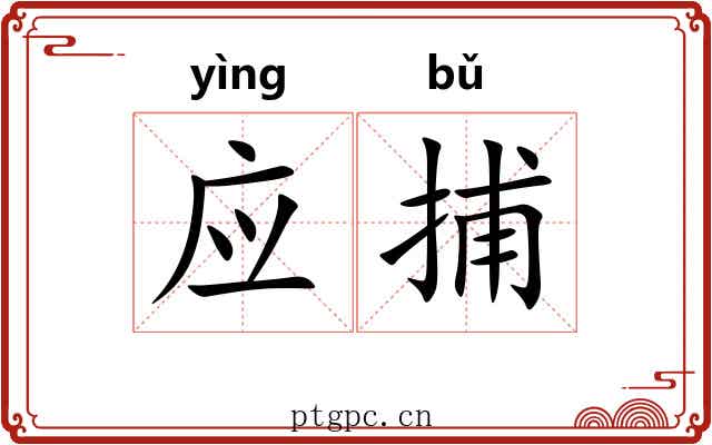 应捕