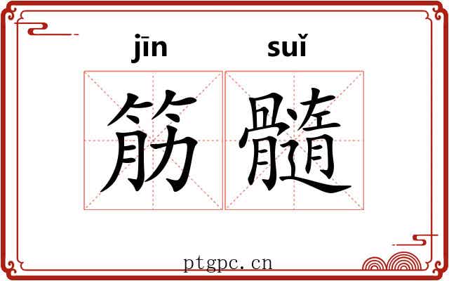 筋髓