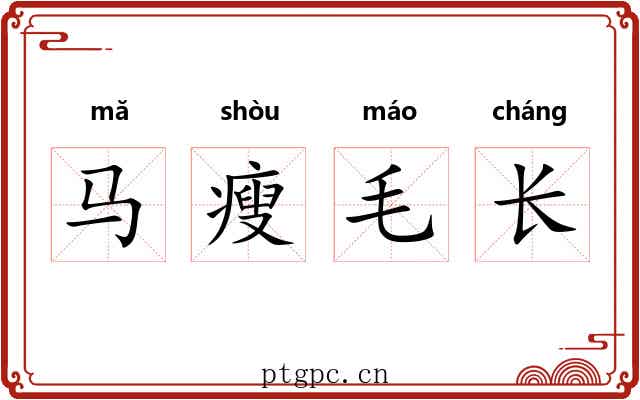 马瘦毛长