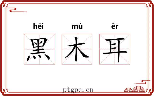 黑木耳 黑木耳