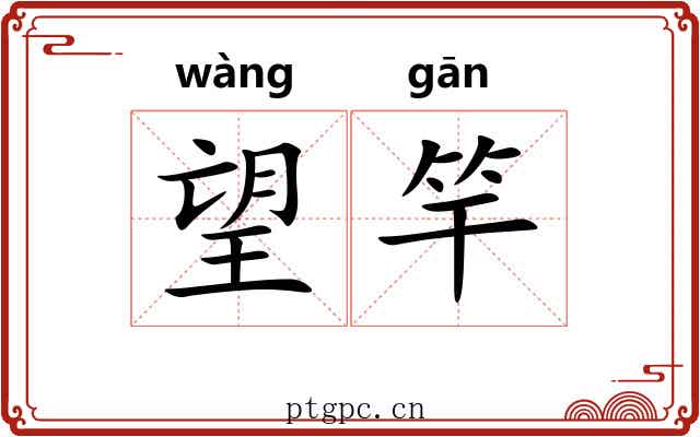 望竿