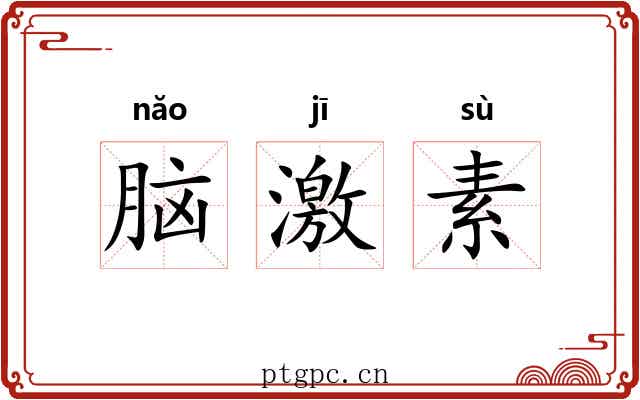 脑激素 脑激素