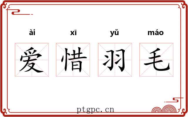 爱惜羽毛 爱惜羽毛