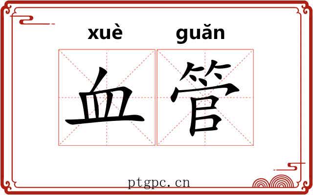 血管 血管