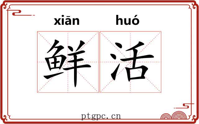 鲜活 鲜活
