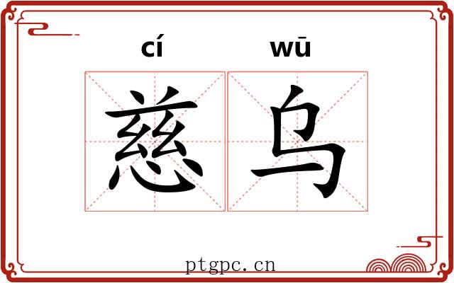 慈乌
