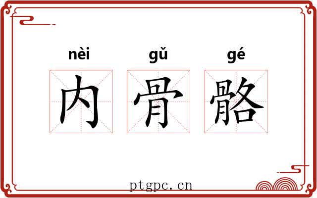 内骨骼 内骨骼