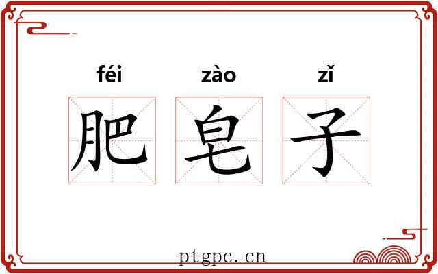肥皂子 肥皂子