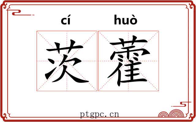 茨藿