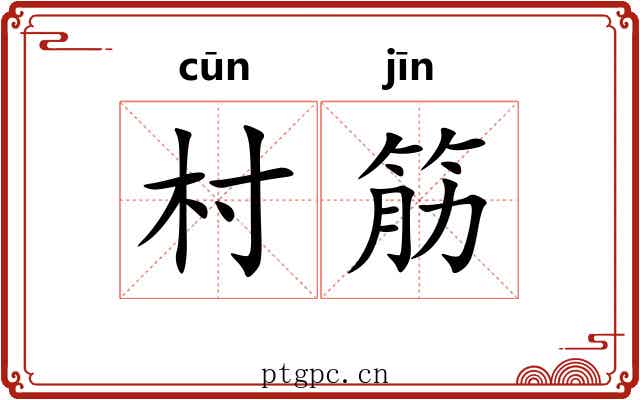 村筋