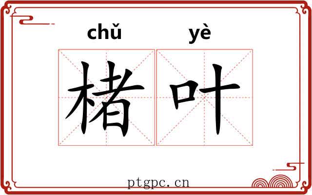 楮叶