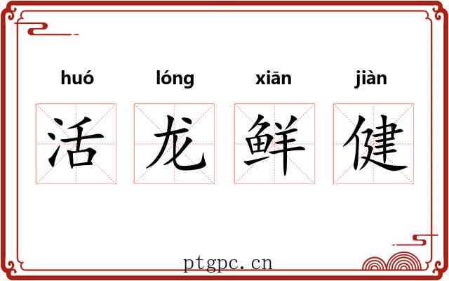 活龙鲜健