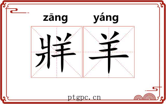 牂羊