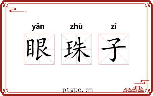 眼珠子
