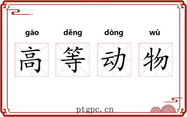 高等动物
