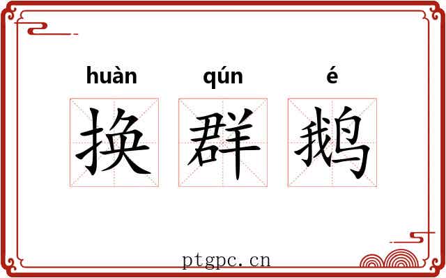 换群鹅 换群鹅