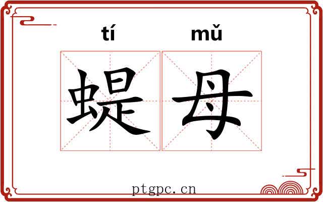蝭母