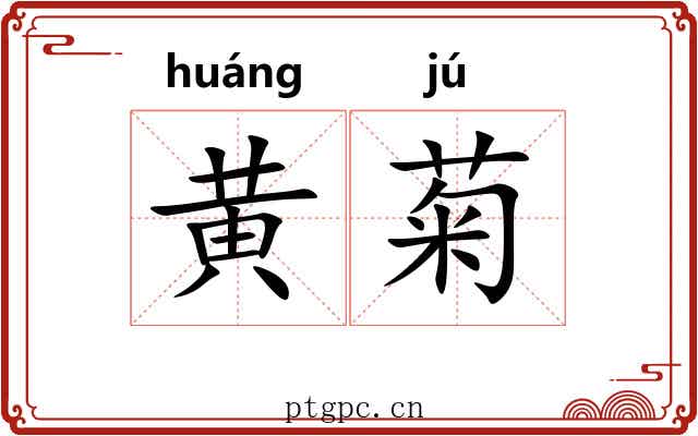 黄菊