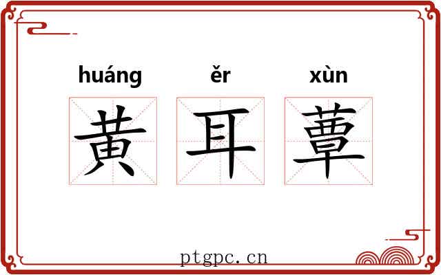 黄耳蕈 黄耳蕈