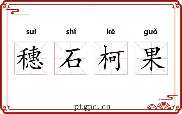 穗石柯果