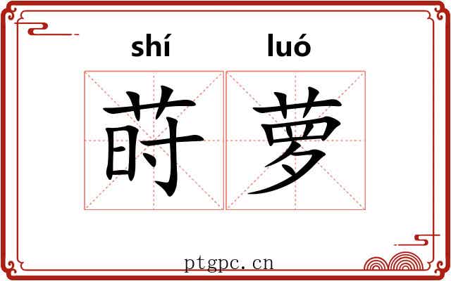 莳萝