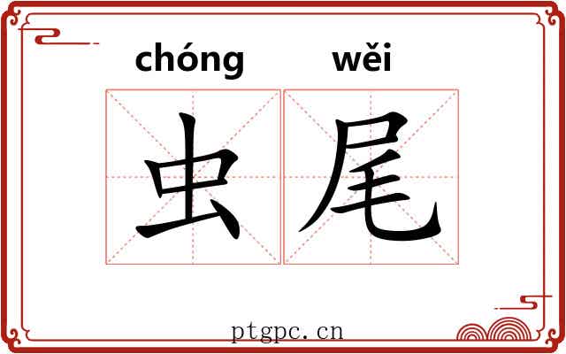 虫尾