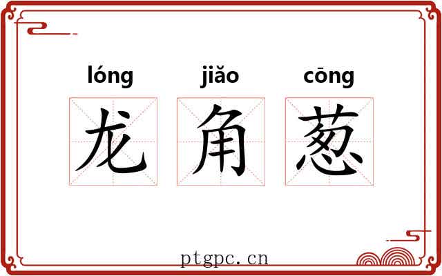 龙角葱 龙角葱